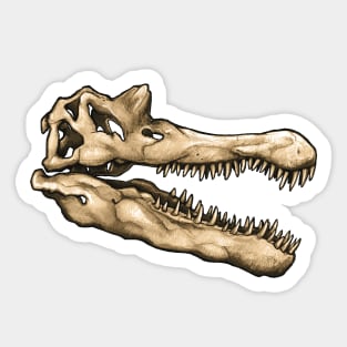 Dinosaur Skull Spinosaurus Sticker Sticker